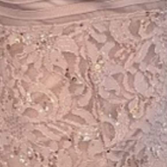 NWT Alexa B Nites Full Length Sequined Lace Dress in Blush Pink - Picture 5 of 9